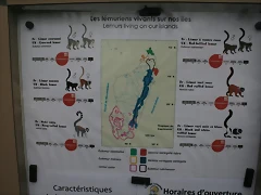Le Parc des Felins agost 2010 1135 Le Parc des Felins agost 2010 1135