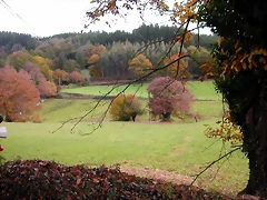 DSCN0032 DSCN0032
