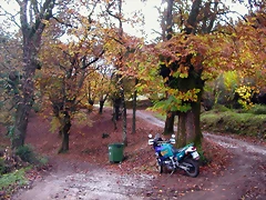 DSCN0062 DSCN0062