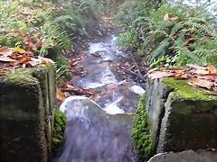 DSCN9984 DSCN9984