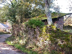 DSCN0015 DSCN0015