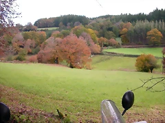 DSCN0033 DSCN0033
