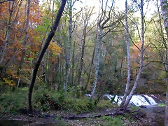 DSCN0010 DSCN0010