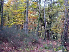 DSCN0044 DSCN0044