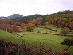 DSCN0063 DSCN0063