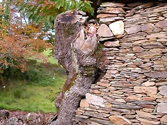 DSCN0064 DSCN0064