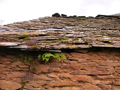 DSCN0054 DSCN0054