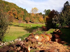 DSCN0080 DSCN0080
