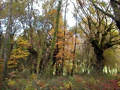 DSCN0045 DSCN0045