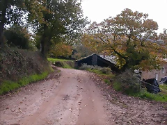 DSCN0070 DSCN0070