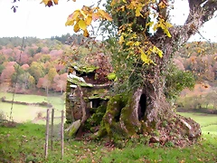 DSCN0061 DSCN0061
