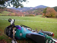 DSCN0037 DSCN0037