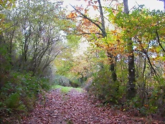 DSCN0046 DSCN0046