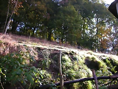 DSCN0081 DSCN0081