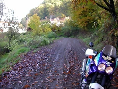 DSCN0082 DSCN0082