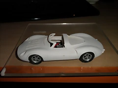P1010006