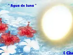 AGUA DE LUNA1