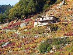 DSCN9789