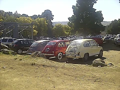 IMG-20130818-05591 IMG-20130818-05591