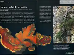 juniperus  LA LONGEVIDAD DE LAS SABINAS I-y-C-marzo-2019-web-