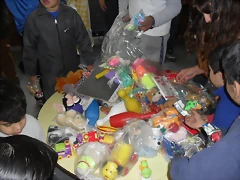 SDC13146 SDC13146