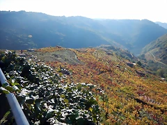 DSCN9779