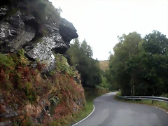 DSCN8374 DSCN8374