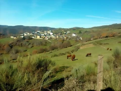 Castejeira Castejeira