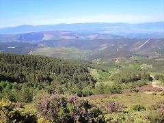 020-Imagen 022 020-Imagen 022