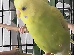 20170616_120524