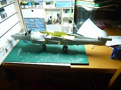 P1090188 P1090188