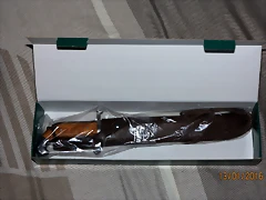 IMG_0972 IMG_0972