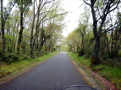 DSCN9215 DSCN9215