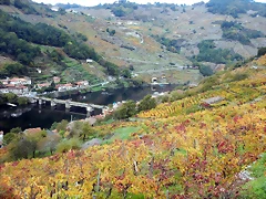 DSCN9849 DSCN9849