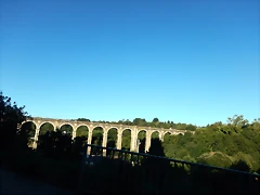 DSCN0394 DSCN0394
