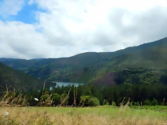 DSCN1333 DSCN1333
