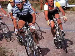 1984,TOUR DE LOMBARDIA.