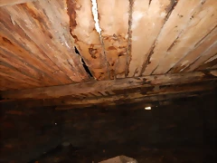 DSCN9130 DSCN9130