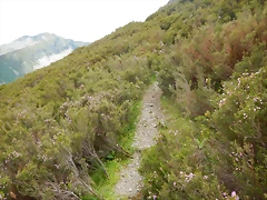 DSCN9274 DSCN9274