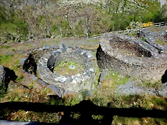 DSCN1021