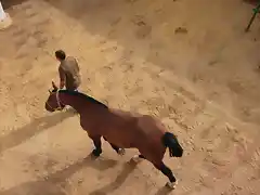 018, caballo picador