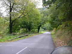 DSCN3163 DSCN3163