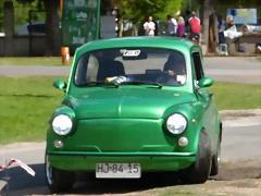 P1190268 P1190268
