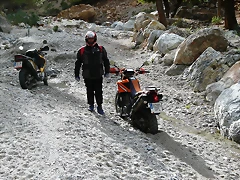 P1140568 P1140568
