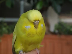 P9250090 P9250090