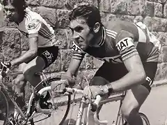 TOUR DE 1977-FERNANDO MENDES-MERCKX