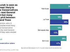 Ipsos July 2022 Final Two Leadership Race_PUBLIC2