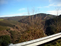 DSCN2499 DSCN2499