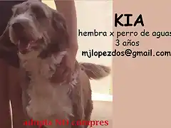 KIA Sevilla