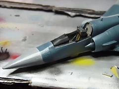 P1060347 P1060347